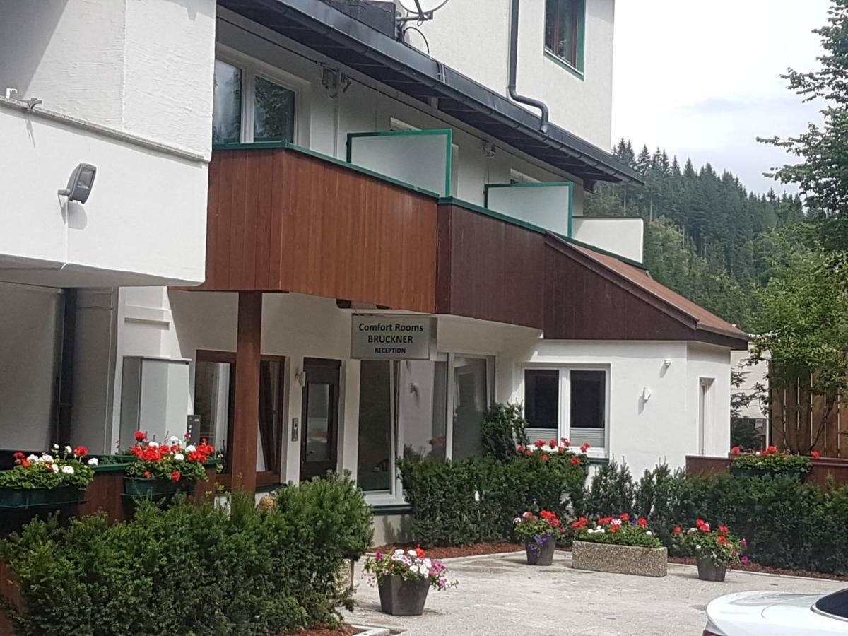 Comfort Bruckner Hotel 2*